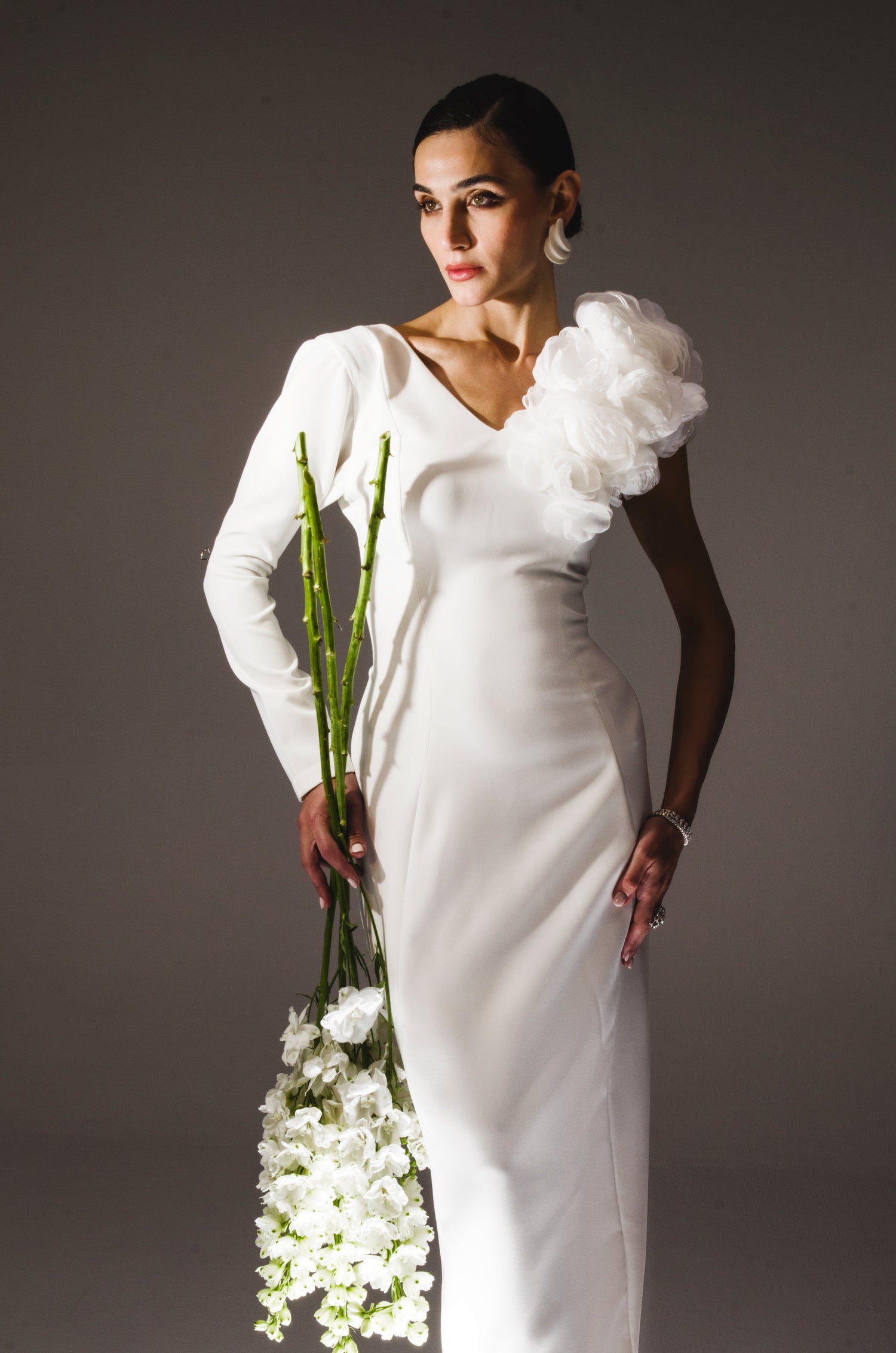 Amira Collection